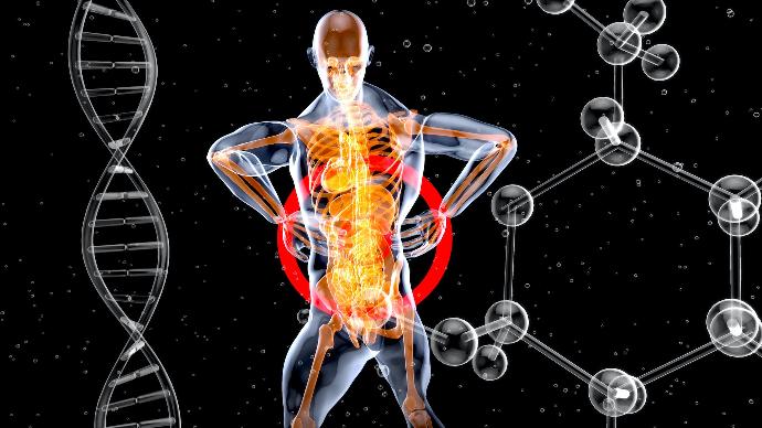 A isometric image of a DNA of human body