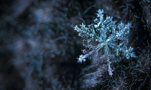 A snowflakes in a cold winter weather