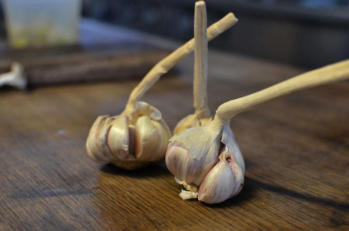Three garlic vegetables on top of wooden table