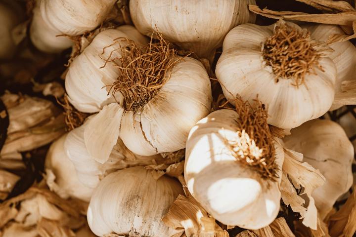 A bundle of white garlic