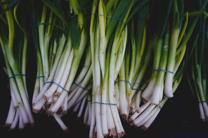 Bundle of green onion leaves