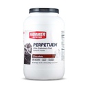 Perpetuem - Endurance Drink for long-lasting energy